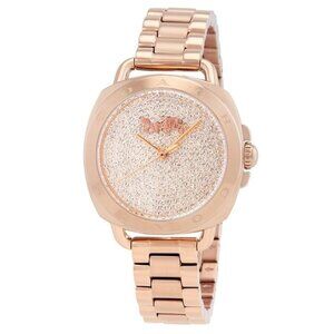 FX03168B NWT Coach Fashion Ladies Quartz Steel Authentic Watch